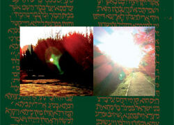 Camino de glorificación