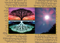 Camino de glorificación