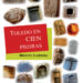 Toledo en cien piedras